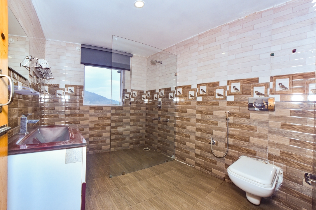 Hotel Dalhousie Hills Banikhet